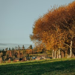 První ročník běhu na Kuklíku, 19.10.2022 9