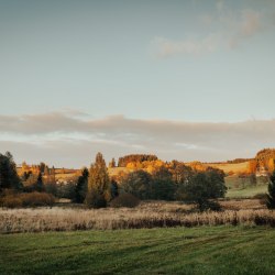 První ročník běhu na Kuklíku, 19.10.2022 8