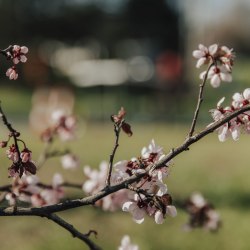 Druhý ročník běhu na Kuklíku, 22.4.2023 17